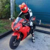 Elmo - Helmcover - Motor - Scooter - Universeel - Accessoires